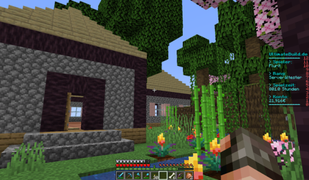 Haus 2
